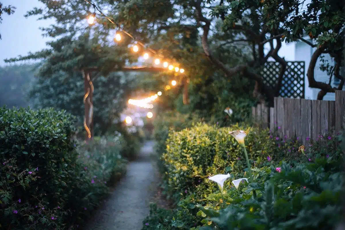 clôture jardin